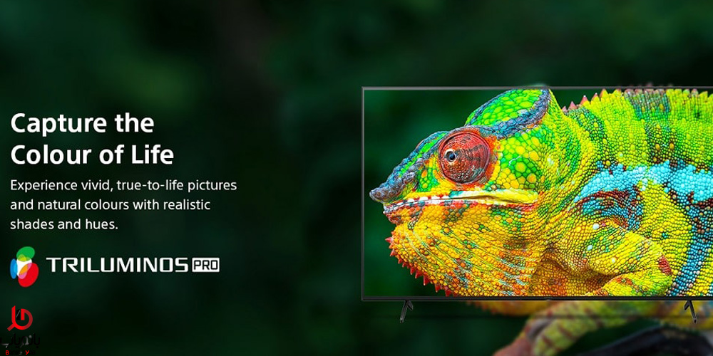 رنگ های زنده و پر رنگ در ال ای دی هوشمند فورکی X80K سونی